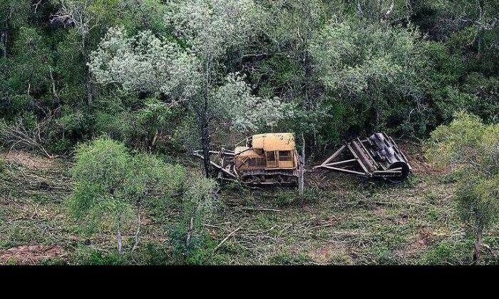 En 6 meses se desforestó una superficie equivalente a una vez y media el tamaño de Buenos Aires