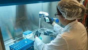 Investigadores del CONICET desarrollan un tratamiento para el SUH