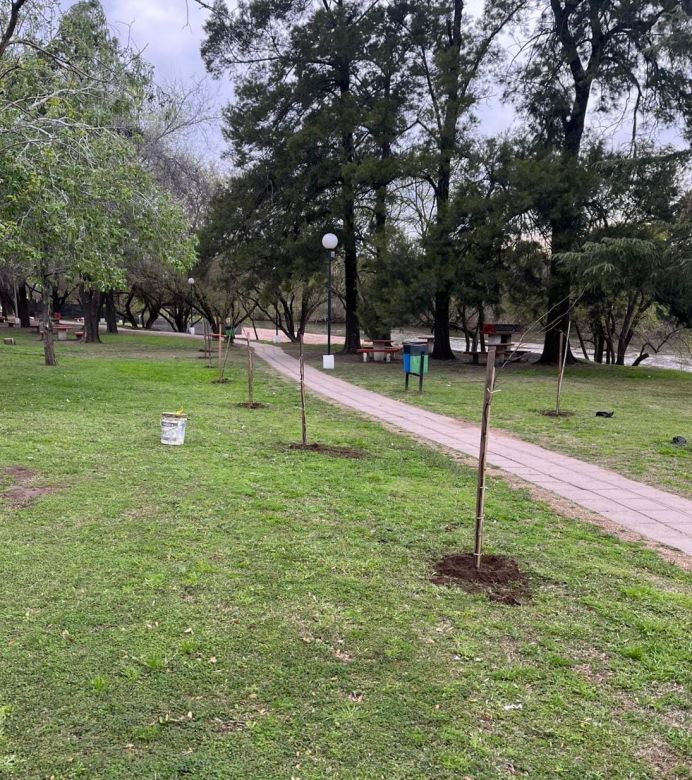 Villa María sumó nuevos ejemplares a su arbolado público