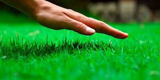 Taller Gratuito en Villa María: Capacitación sobre el uso y mantenimiento de herramientas de césped y poda