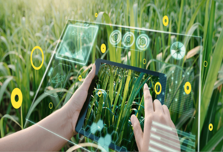 La Universidad del Gran Rosario lanza su Licenciatura en Agrotecnología