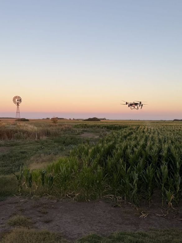 Martin Comba: "Cada hect&aacute;rea es un aprendizaje y una trazabilidad de datos"