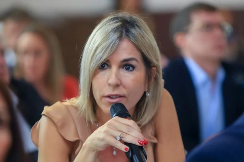 El radicalismo acompa&ntilde;&oacute; la regulaci&oacute;n de los "naranjitas" pero advierte por la falta de contenci&oacute;n