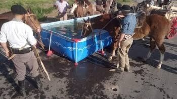 Piden frenar la peregrinaci&oacute;n a caballo a Luj&aacute;n: "Agonizan y los abandonan"