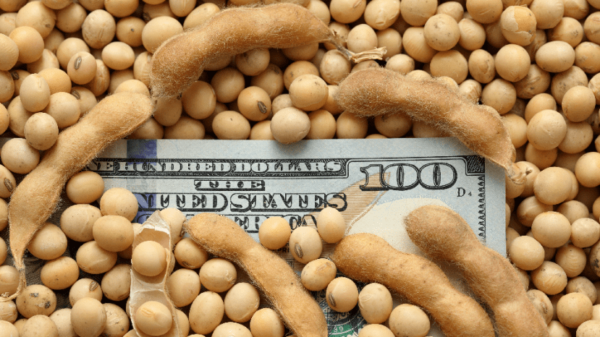 “El Dólar Agro beneficia a pocos y perjudica a muchos”, dijo Laucirica