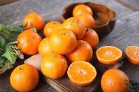 Importan naranjas desde España: los motivos