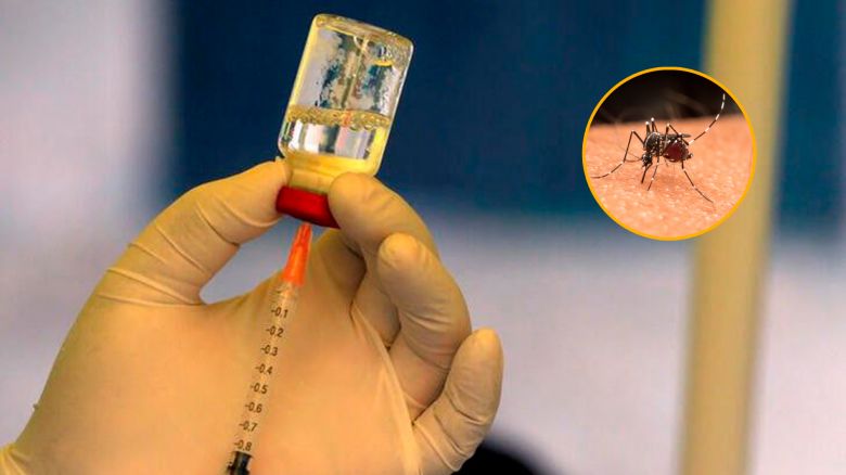 A partir de octubre se aplicará la vacuna contra el dengue