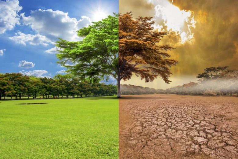 El 70% de los productores ve impactos en sus campos por el cambio climático