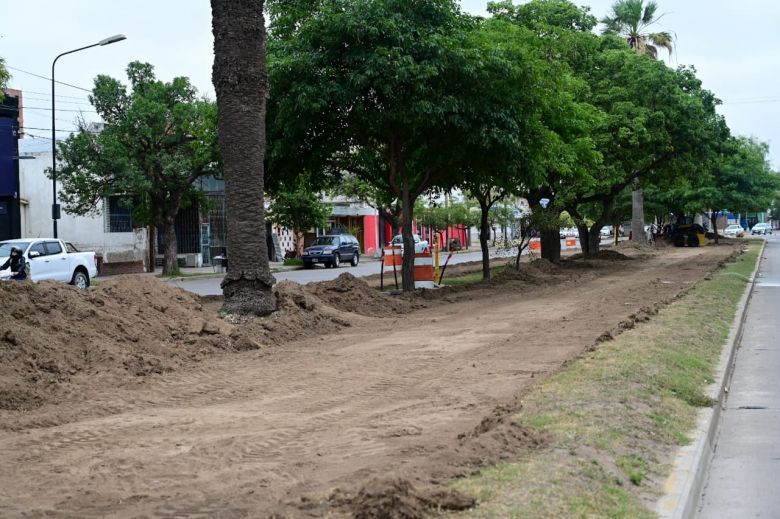 Avanza la obra del Parque Lineal Sustentable obre bulevar Vélez Sarsfield