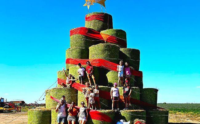 El árbol de Navidad de alfalfa “más grande del mundo” está en Morrison