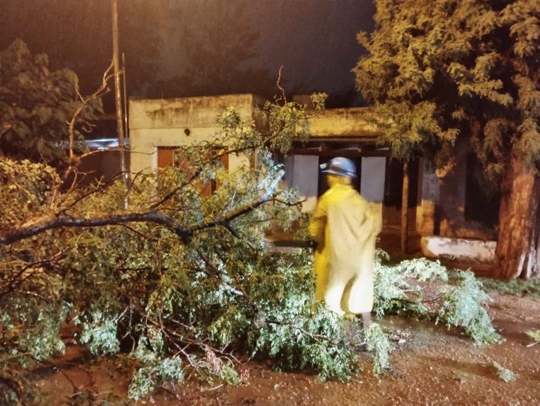 Río Cuarto: fuertes tormentas hicieron destrozos en la ciudad