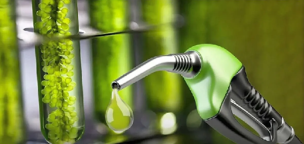 Biocombustibles: preocupación por el impacto del proyecto de ley nacional