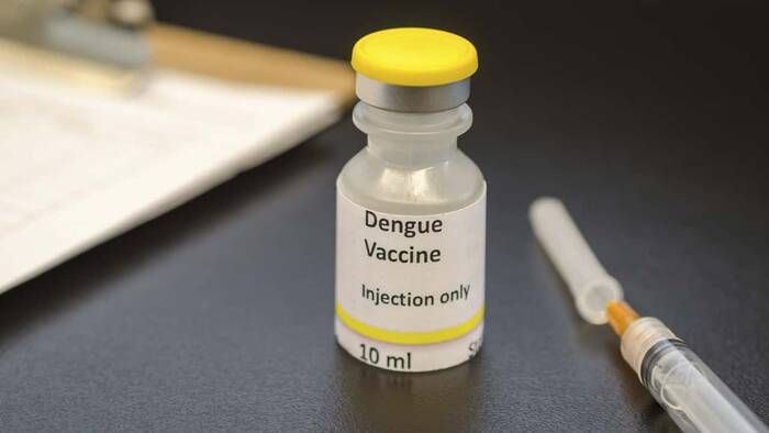 "La vacuna contra el dengue es muy efectiva en personas que ya han padecido la enfermedad"